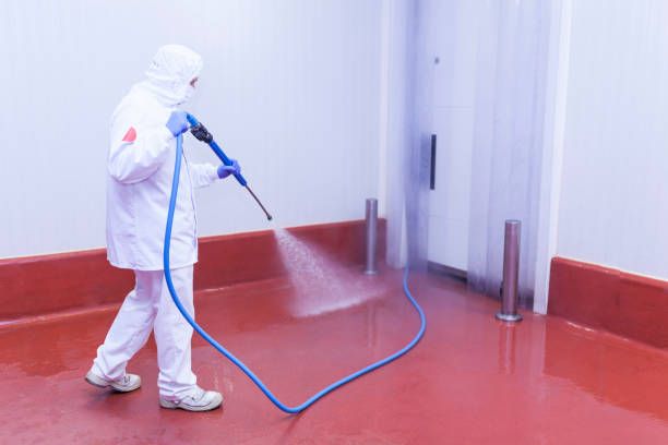 Best Patio and Deck Pressure Washing  in Sarasota, FL